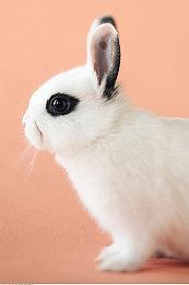 《影子武士3》上市宣传片公开 享受刀刀见血的快感